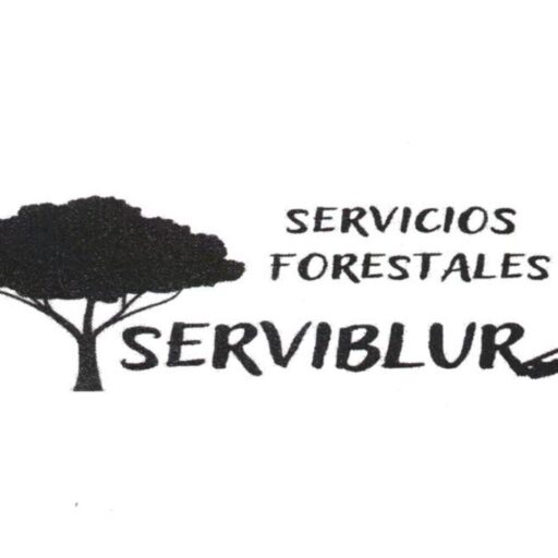 serviblur.com